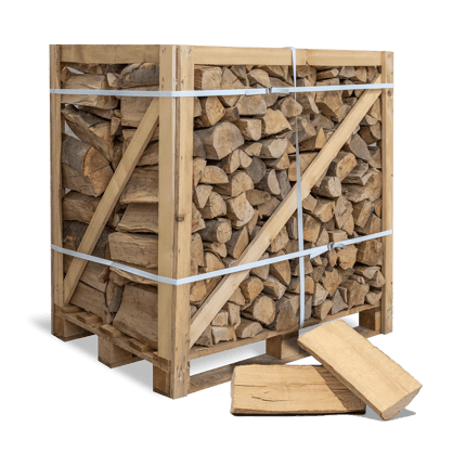Brennholz Buche 25 cm 500 kg – Gather Brennholz